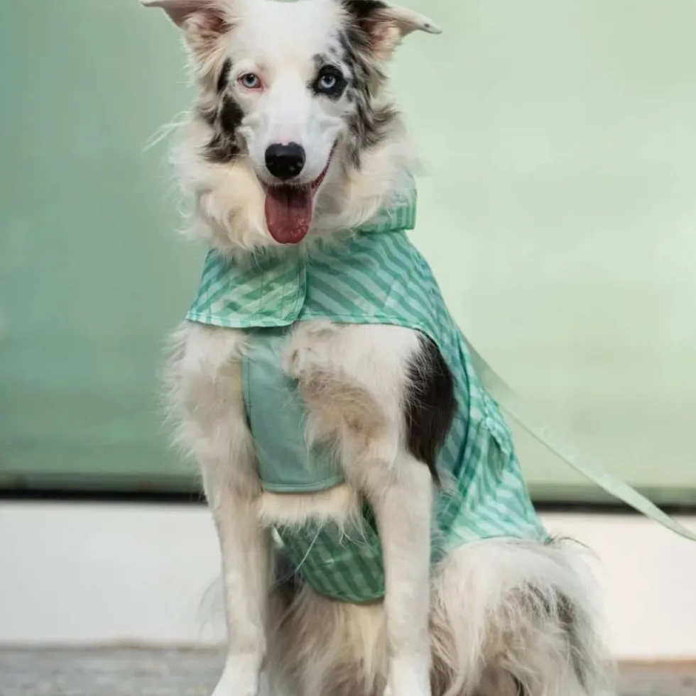Dukier Chubasquero Soft Green Perro Pequeño