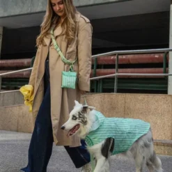 Dukier Chubasquero Soft Green Perro Mediano