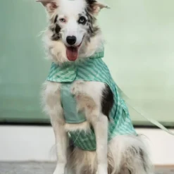 Dukier Chubasquero Soft Green Perro Mediano