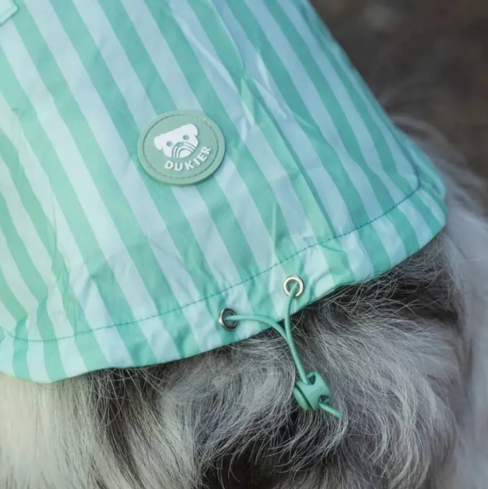 Dukier Chubasquero Soft Green Perro Grande