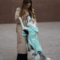 Dukier Chubasquero Soft Green Perro Grande