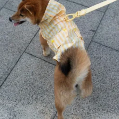 Dukier Chubasquero Vanilla Perro Grande