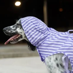 Dukier Chubasquero Violet Perro Pequeño