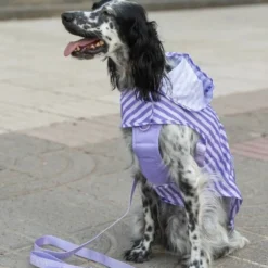 Dukier Chubasquero Violet Perro Grande