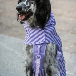 Dukier Chubasquero Violet Perro Grande