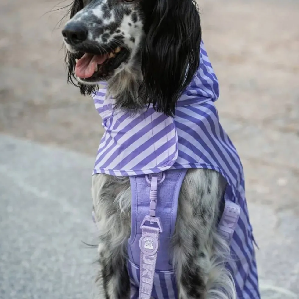Dukier Chubasquero Violet Perro Grande