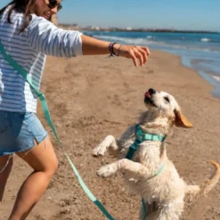Dukier Correa Multiposición Waterproof Blue Lavender para Perro