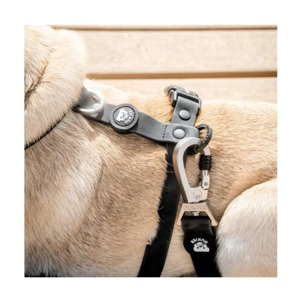 Dukier Correa Waterproof Negra para Perros