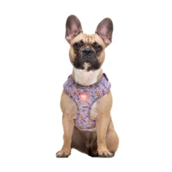 Dukier Flower Power Arnés Ajustable para Perros