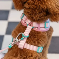 Dukier Ice Cream Arnés Ajustable para Perro