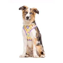 Dukier Smiley Arnés Ajustable para Perros