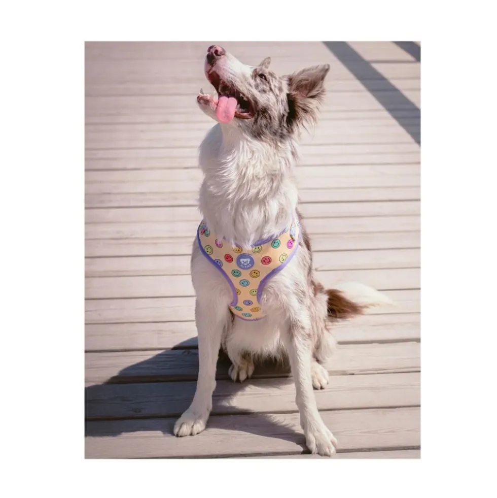 Dukier Smiley Arnés Ajustable para Perros