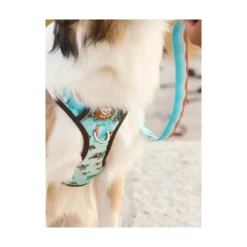 Dukier Trail Turtle Arnés para Perro