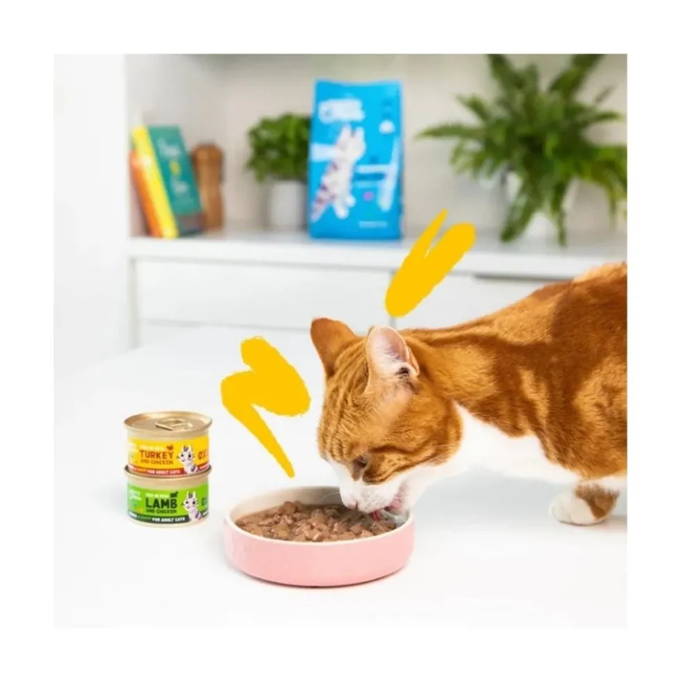 Edgard and Cooper Lata de Cordero y Pollo en Salsa para Gato