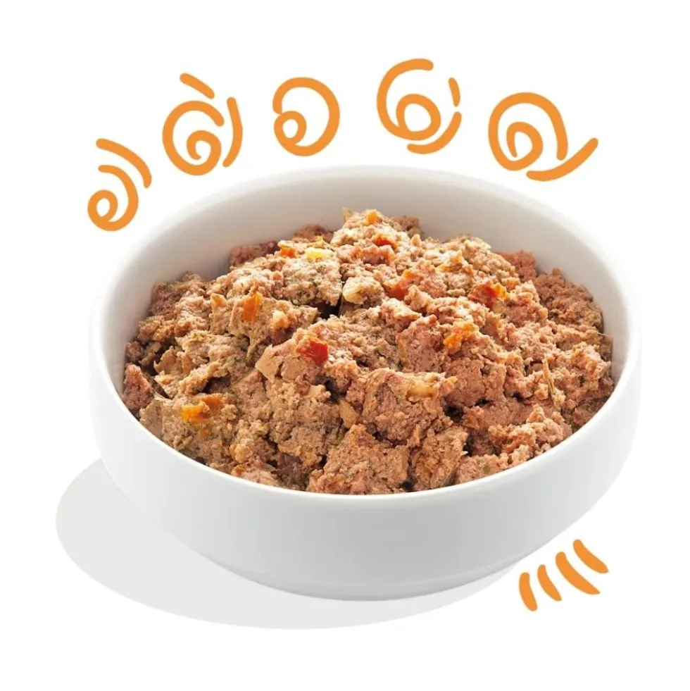 Edgard and Cooper Tarrina Pollo y Pavo 150g Perros