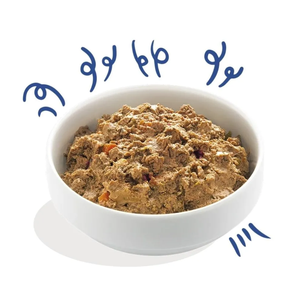 Edgard and Cooper Tarrina Salmón y Pavo 150g Perros