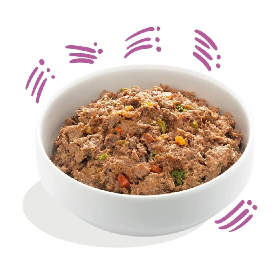Edgard and Cooper Tarrina Venado y Pato 150g Perro