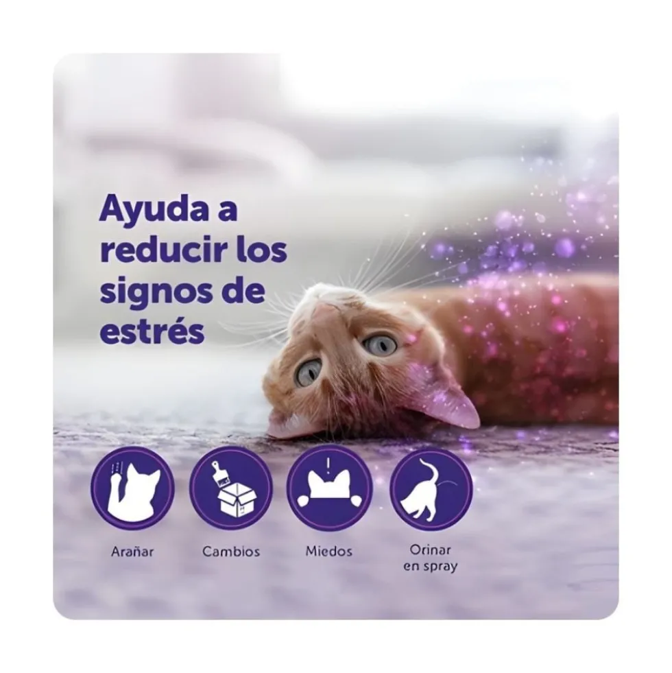 Feliway Classic Recambio 48ml 1 Mes
