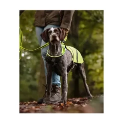 Flamingo Chaleco Reflectante Wasyl para Perro