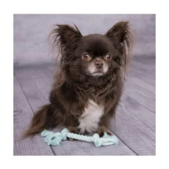 Flamingo Cuerda con 2 Nudos Color Turquesa para Perros Pequeños