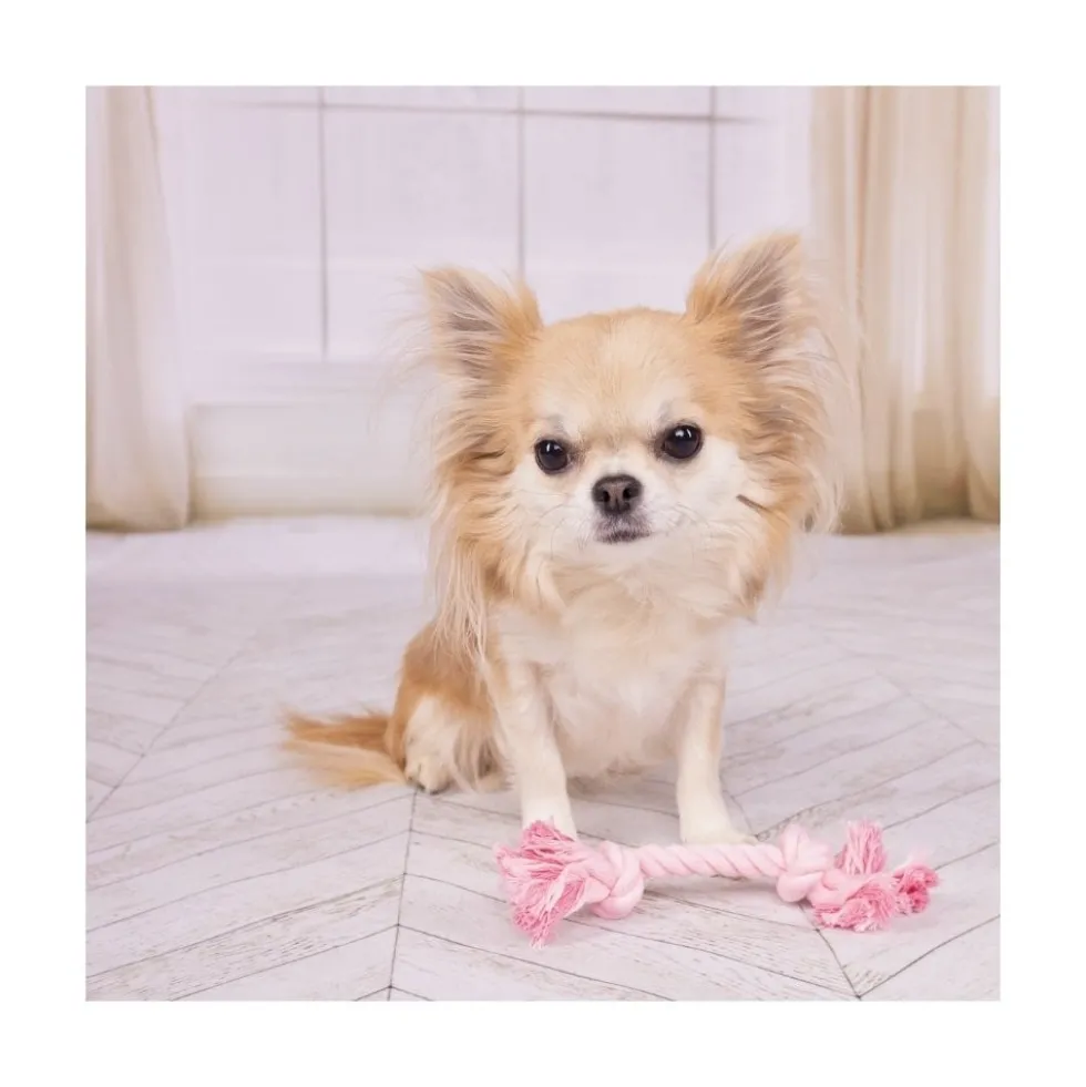 Flamingo Cuerda con Nudos Rosa Para Perros Pequeños