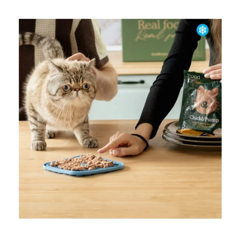 Food for Joe Comida Cocinada Chick&Pump Pollo para Gato