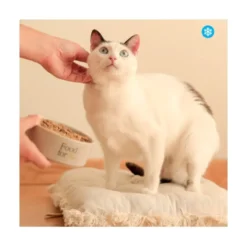 Food for Joe Comida Cocinada Porkitup para Gato