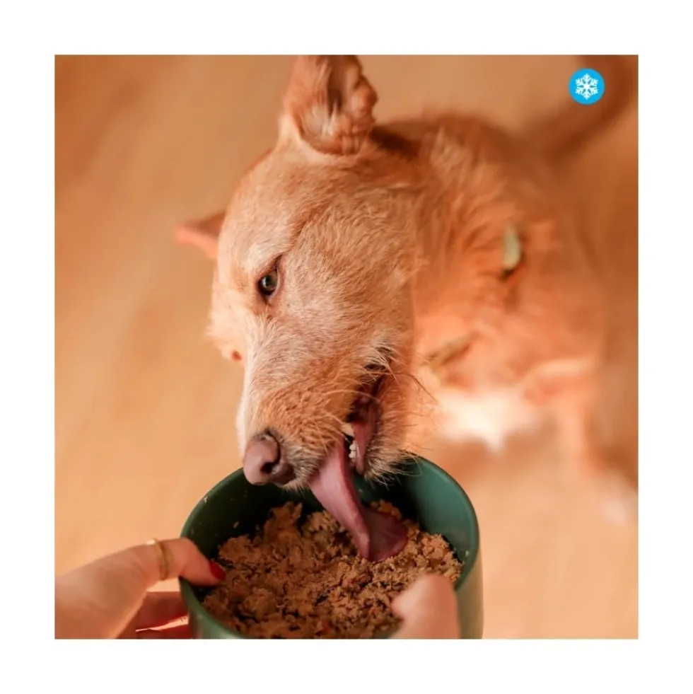Food for Joe Comida Cocinada Porkilicious para Perro