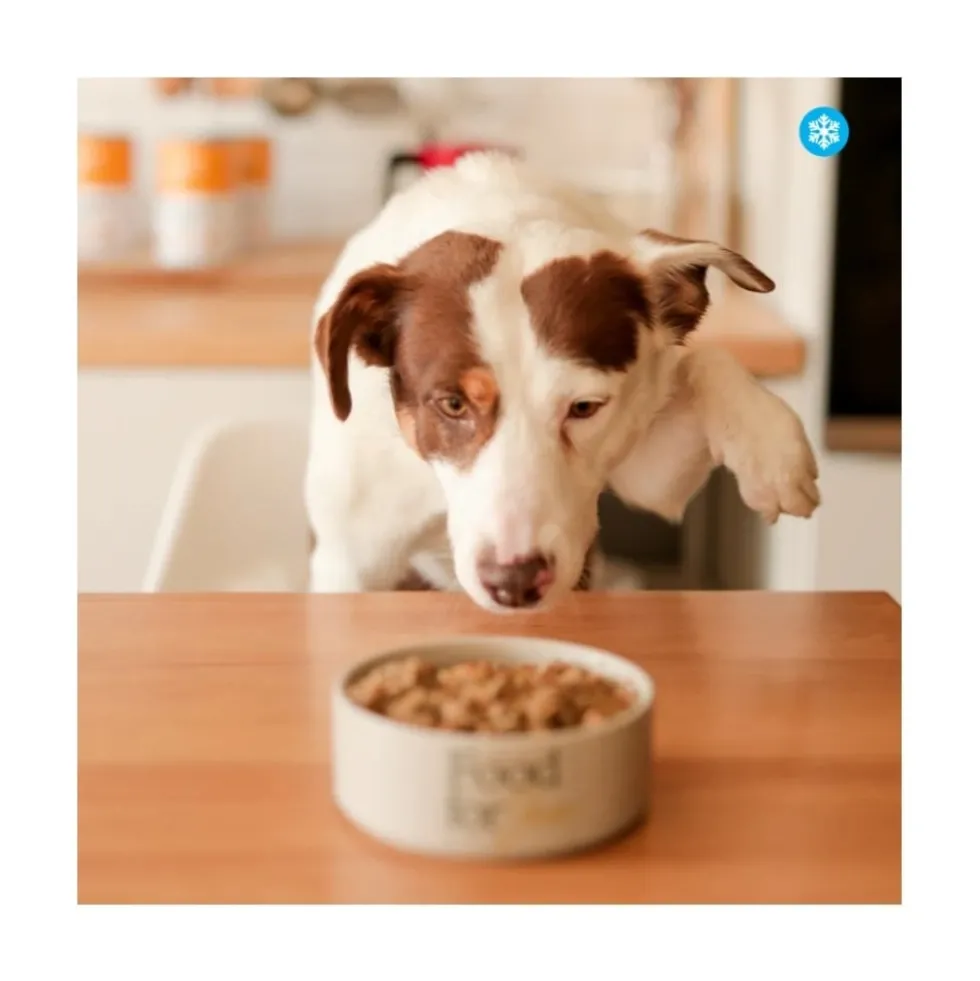 Food for Joe Comida Cocinada Roosterbooster Pollo para Perro