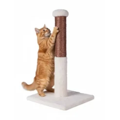 Freecat Rascador Basic Marrón para Gatos