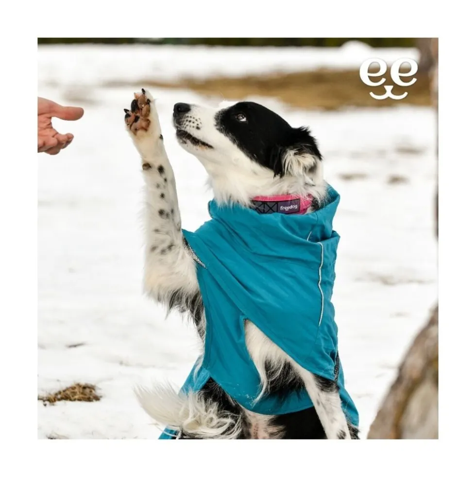 Freedog Abrigo Impermeable Azul para Perro Mediano