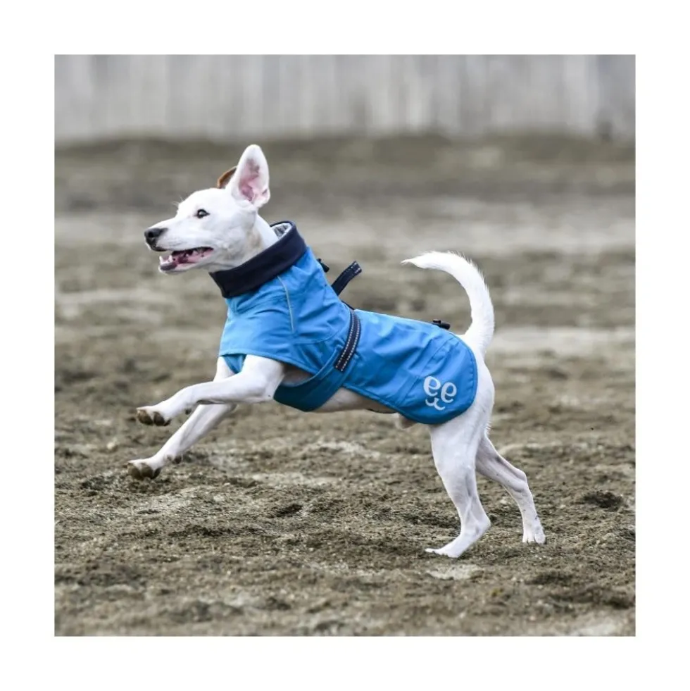 Freedog Abrigo Impermeable Azul para Perro Mediano