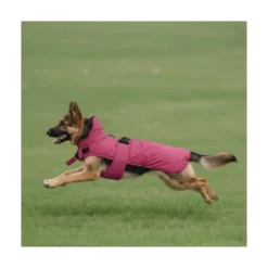 Freedog Abrigo Impermeable Paw Shield Rosa Perro Grande