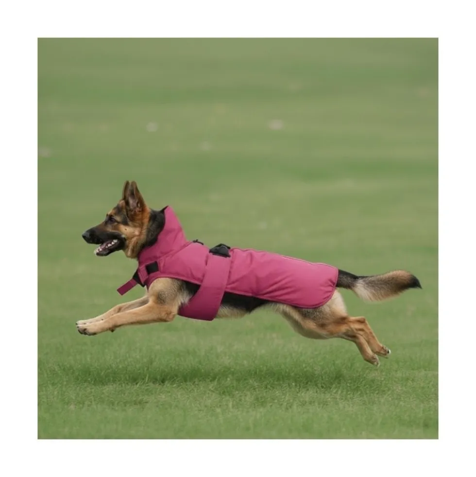 Freedog Abrigo Impermeable Paw Shield Rosa Perro Grande