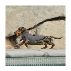 Freedog Abrigo Impermeable Paw Shield Gris Perro Pequeño