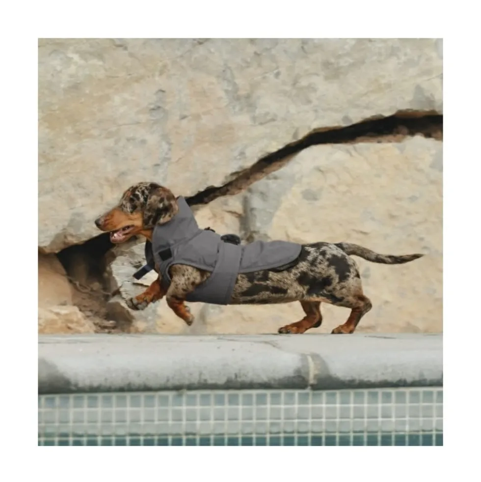 Freedog Abrigo Impermeable Paw Shield Gris Perro Pequeño