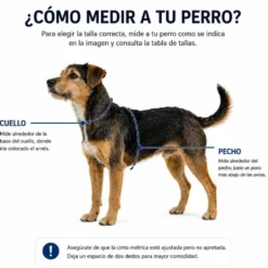 Freedog Arnés Limitless Beige para Perro