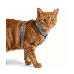 Freedog Arnés Reflectante Azul para Gato