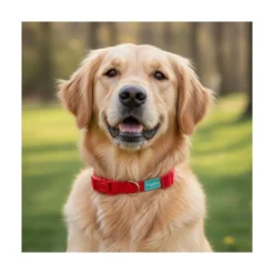 Freedog Collar Nylon Basic Rojo