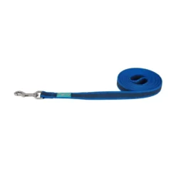 Freedog Correa Larga de Nylon Azul