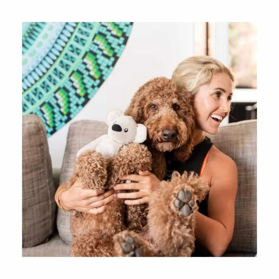 FuzzYard Juguete en forma de Koala para Perros