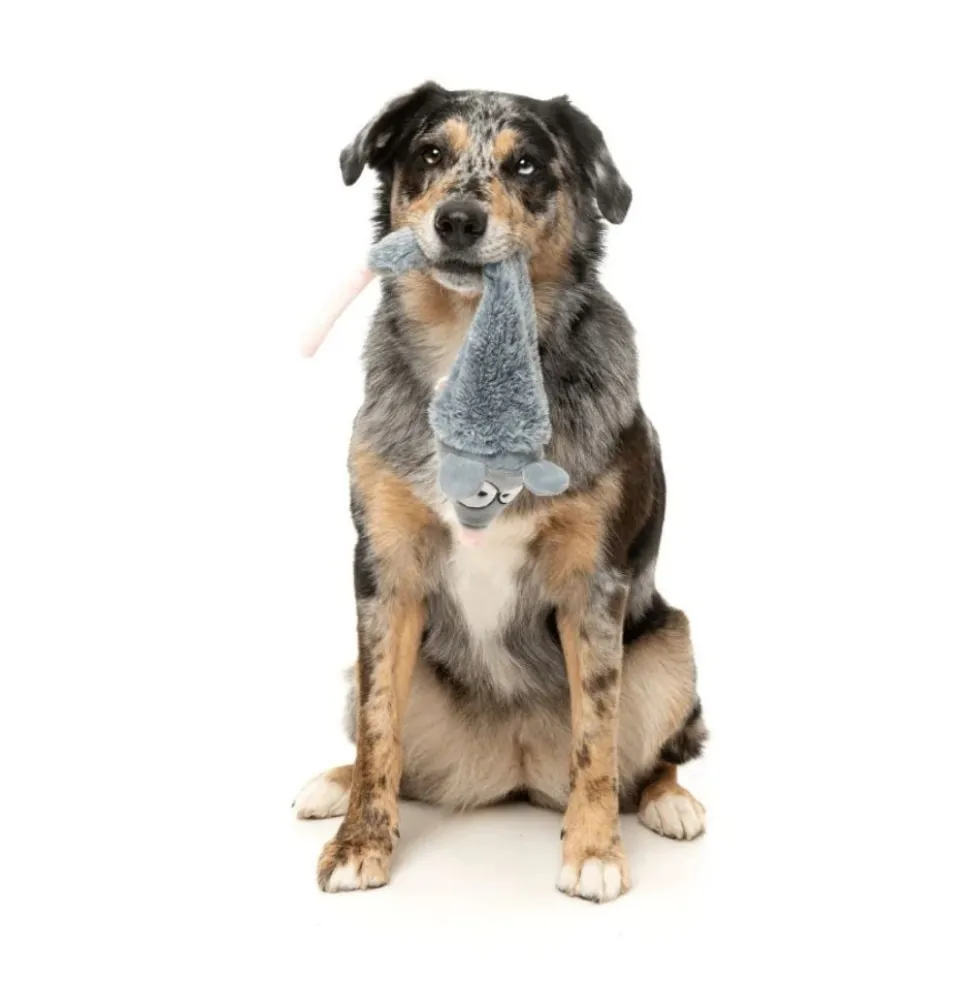 FuzzYard Juguete Ratón The Yeetz para Perro
