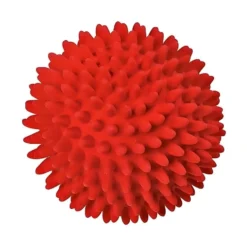 Juguete Pelota de Látex con Púas