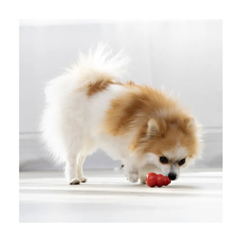 Kong Mordedor Classic Rojo Diferentes Tamaños para Perro