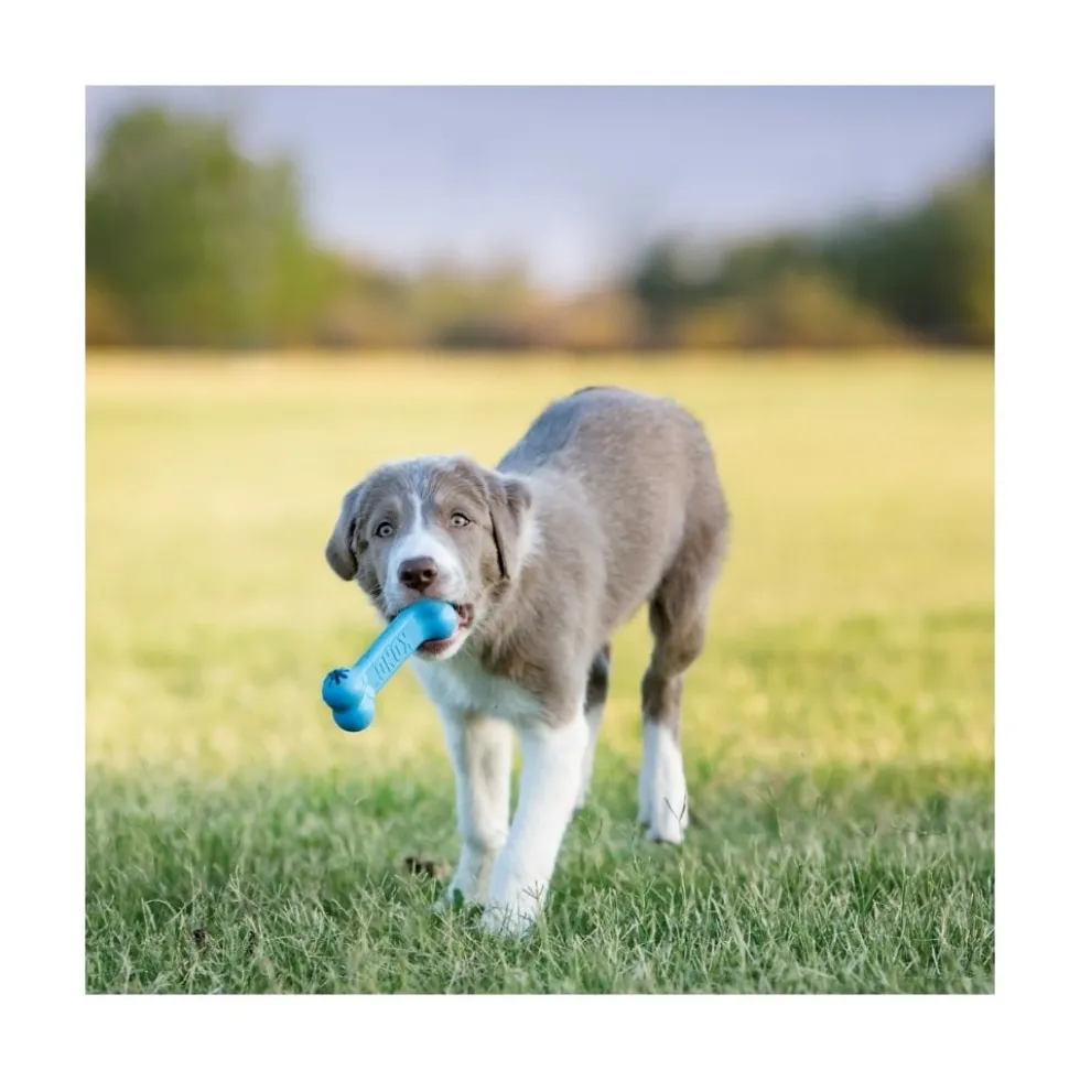 Kong Puppy Goodie Juguete en Forma de Hueso Rosa/ Azul para Cachorro