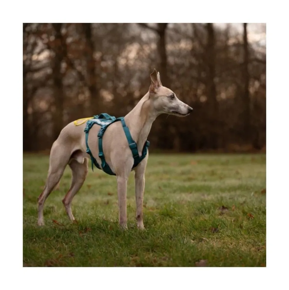 Non-stop Dogwear Arnés Ramble Long con 6 Puntos de Ajuste para Perro