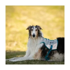 Non-stop Dogwear Chaleco Refrescante para Perro