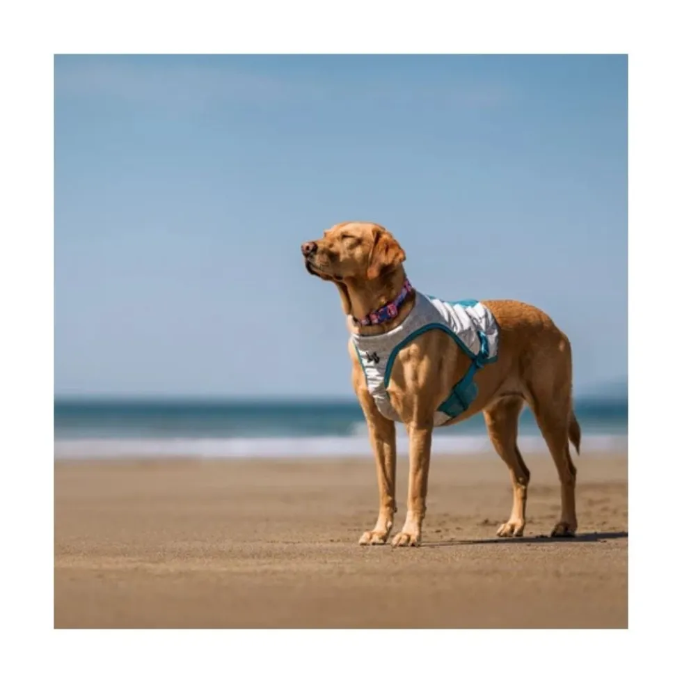 Non-stop Dogwear Chaleco Refrescante para Perro