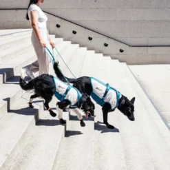 Non-stop Dogwear Chaleco Refrescante Elástico para Perro