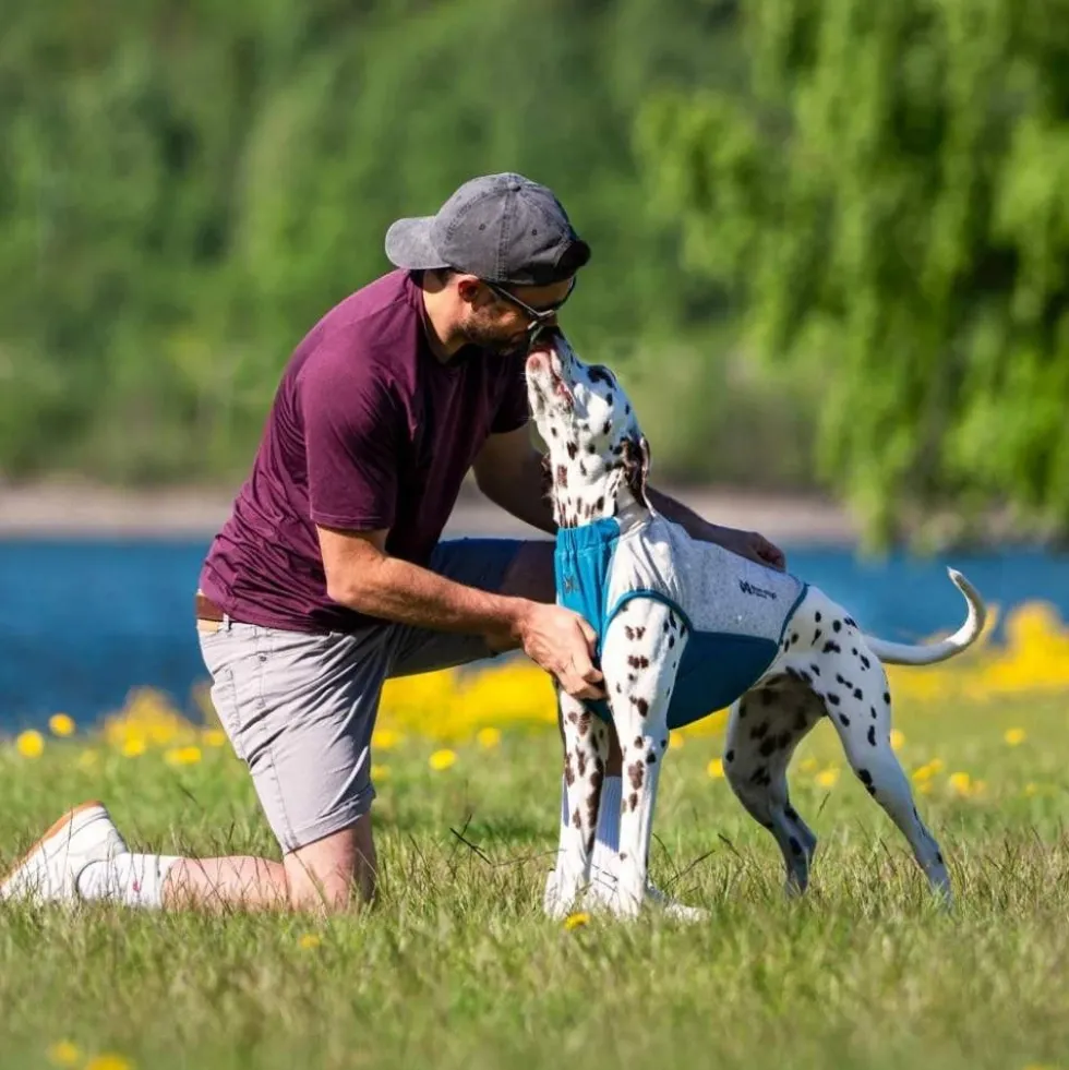 Non-stop Dogwear Chaleco Refrescante Elástico para Perro